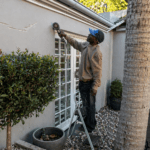 best house painting services in cape town